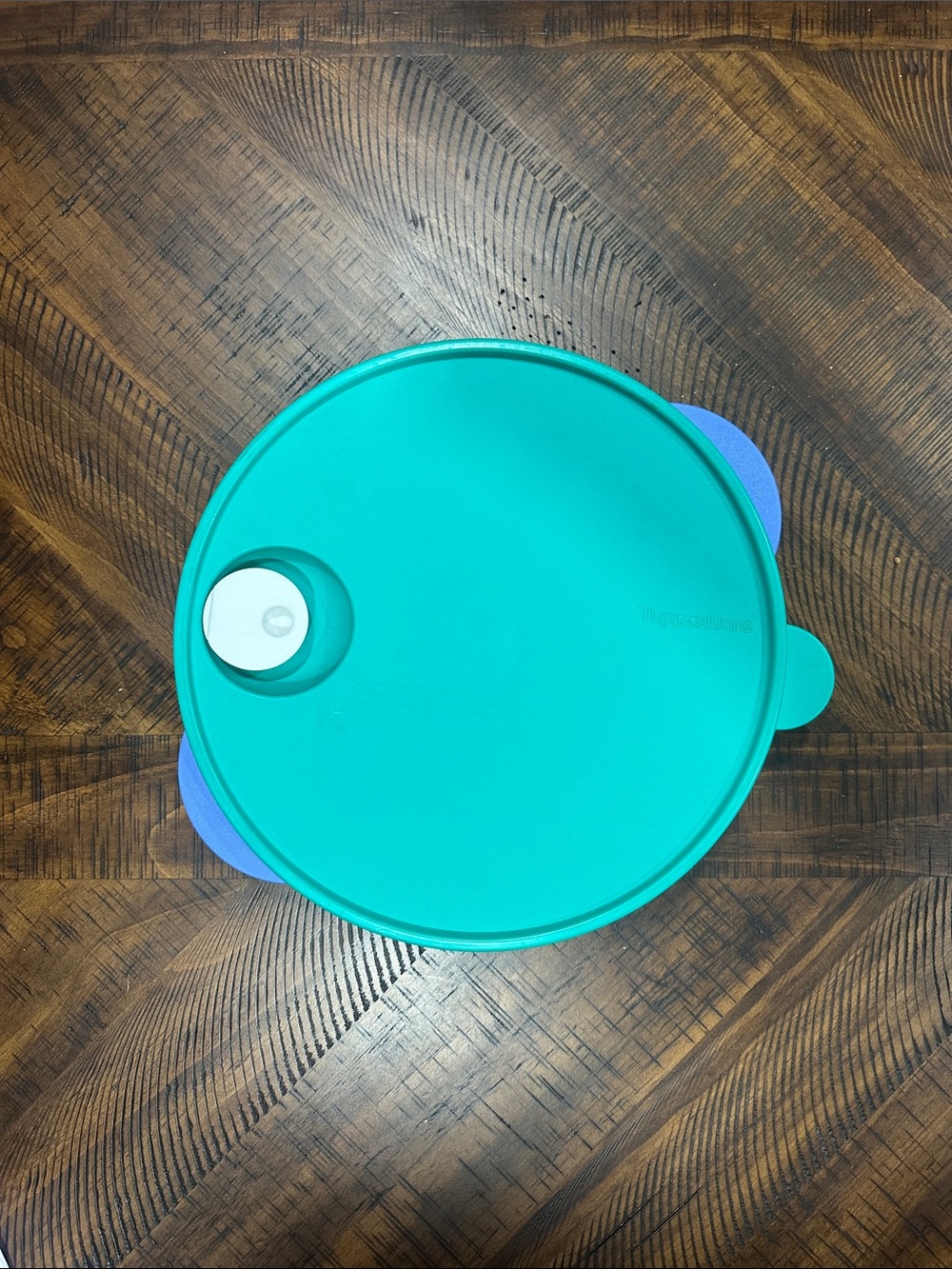 Teal Round Food Tupperware Storage Lid with Steam Vent and divided plate